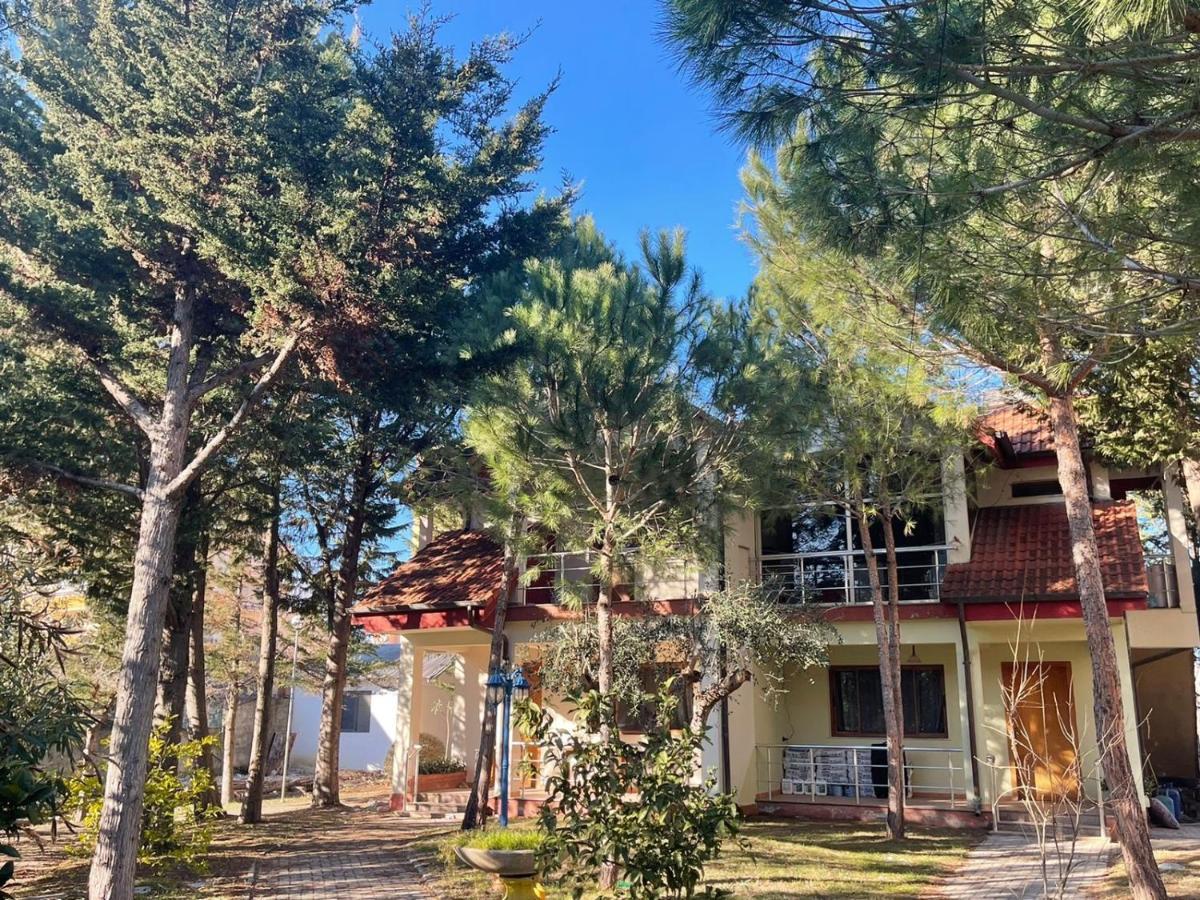 Hotel Garden Villa Ardo Голем Екстер'єр фото